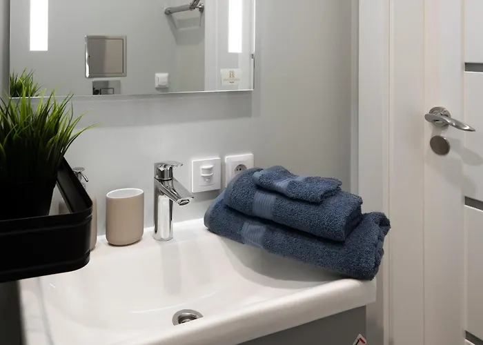 Apartment Historical House