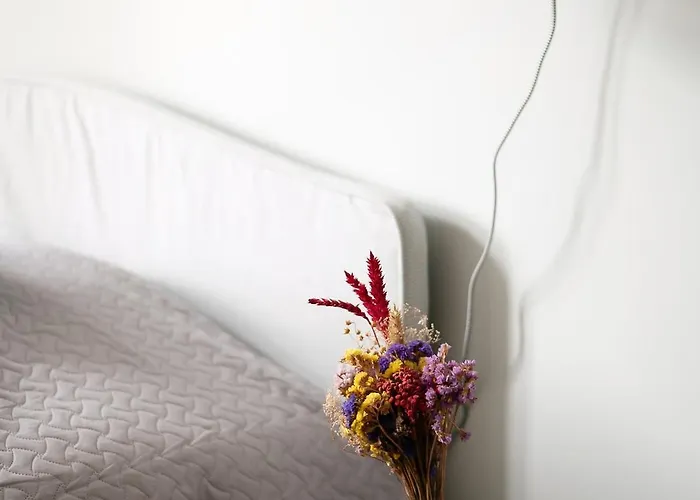 Apartment Historical House